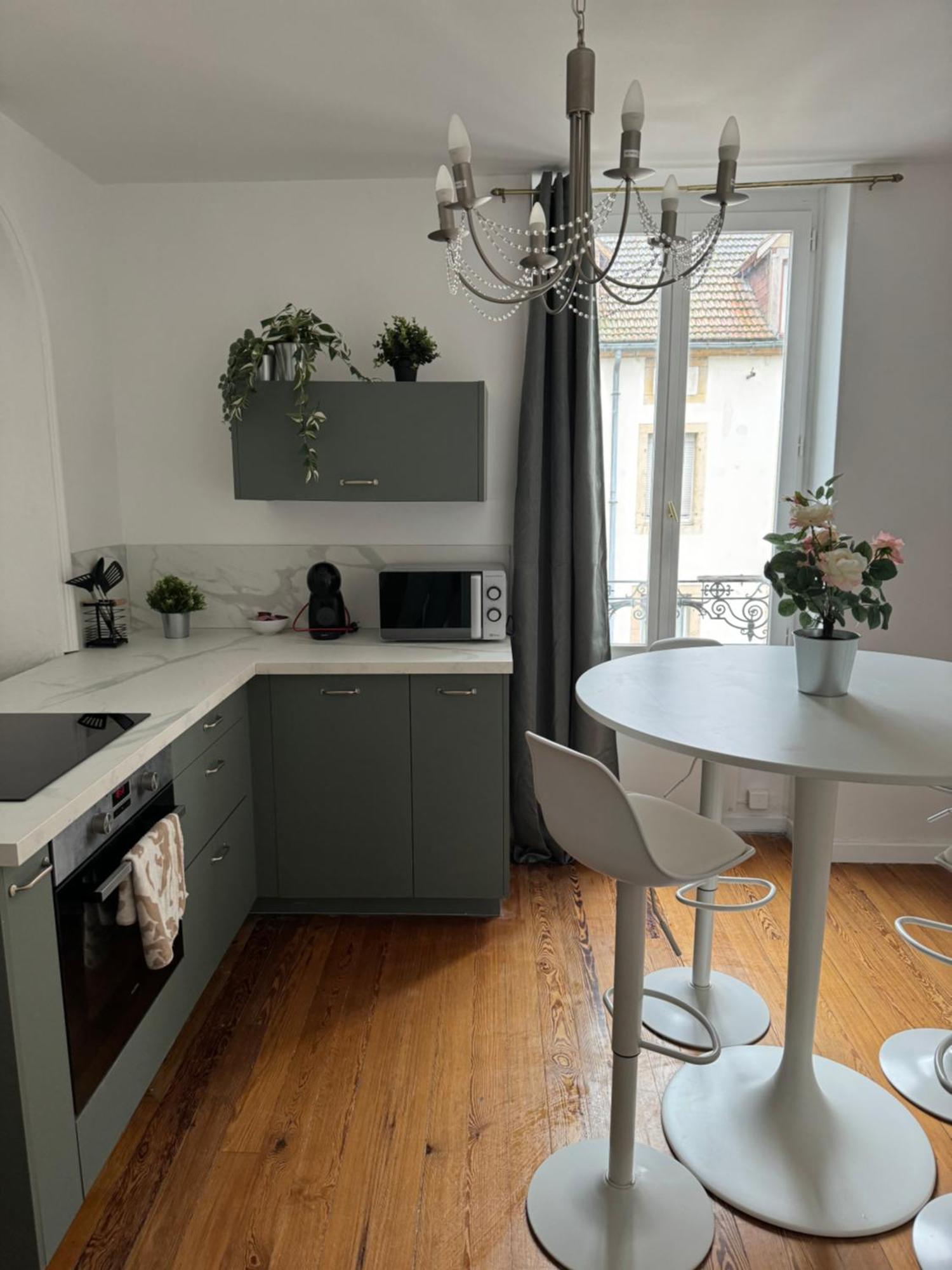 Appartement T2 Plein Centre Dijon Kültér fotó